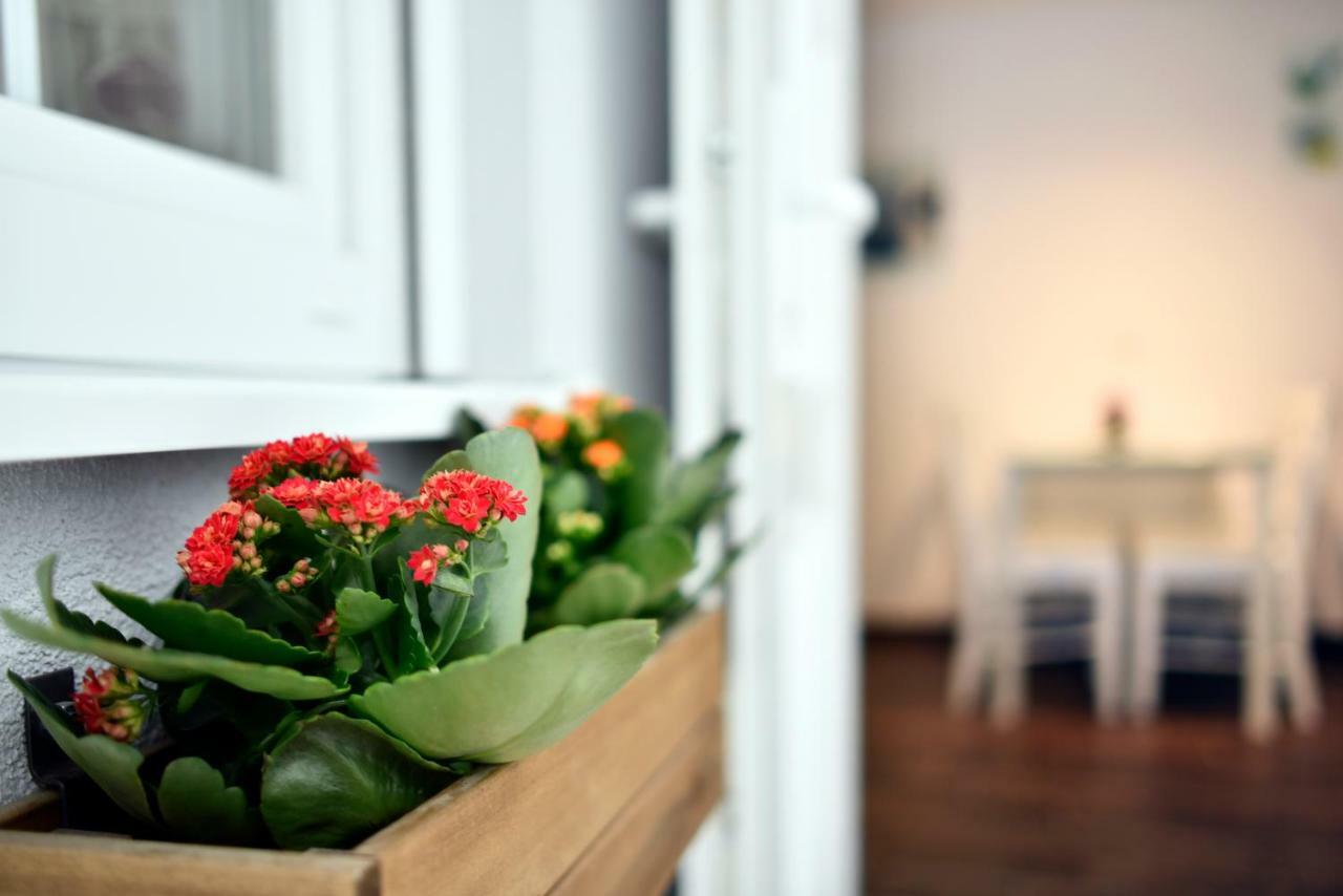Hostel Temza Zagreb Exteriör bild